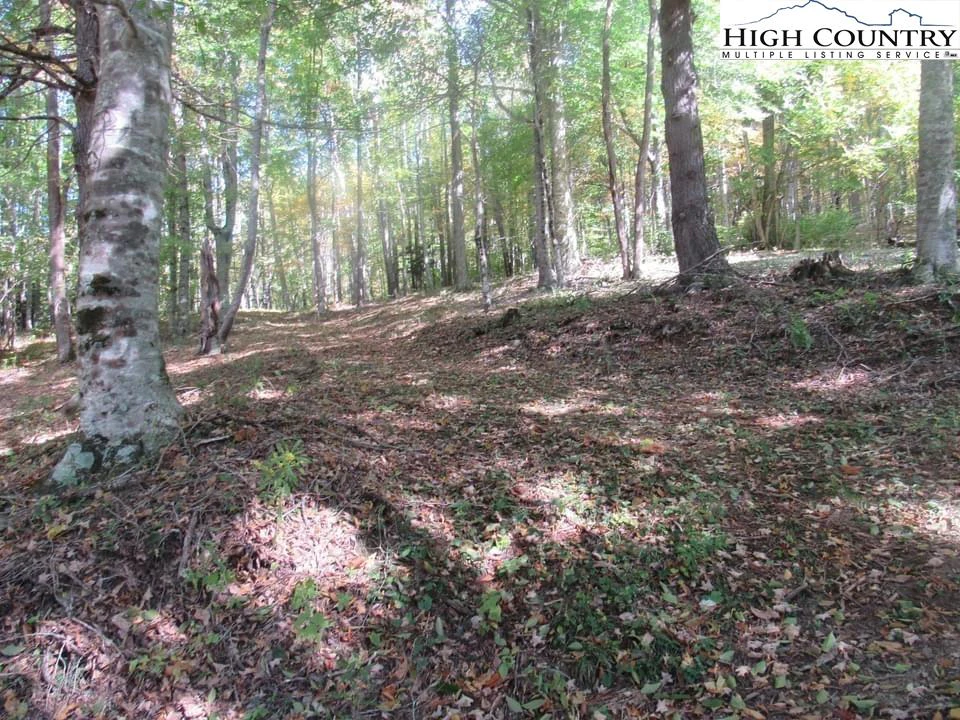 Image number 7 for the current listing
