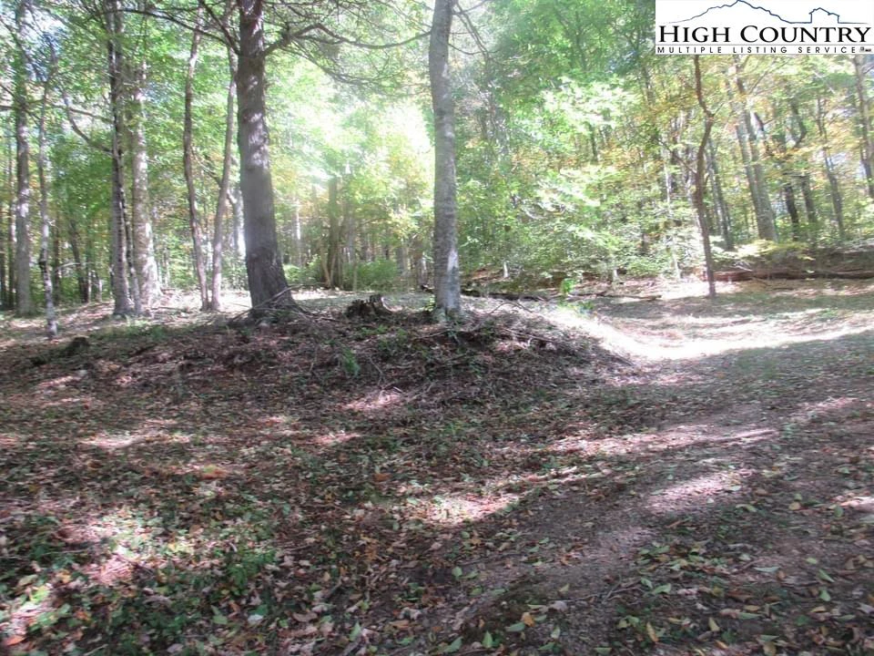 Image number 8 for the current listing