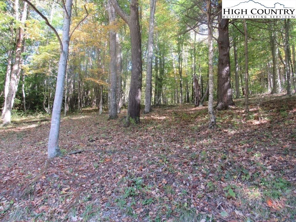 Image number 9 for the current listing