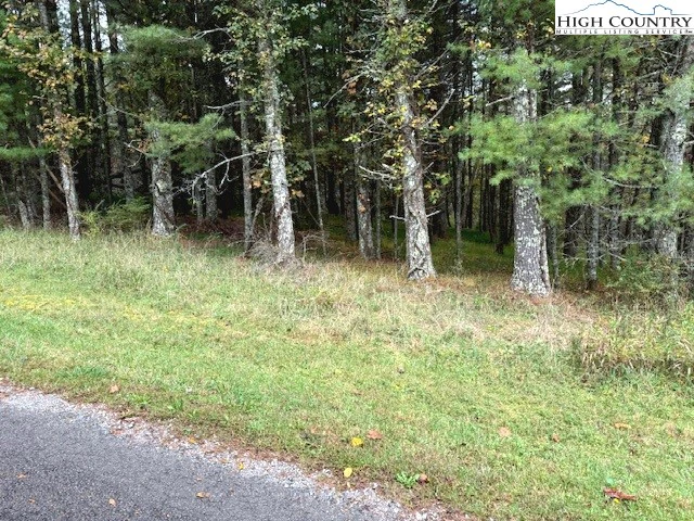 Image number 2 for the current listing
