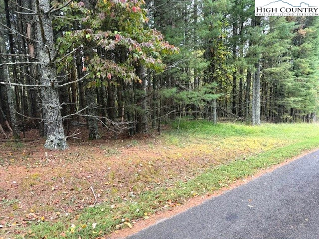 Image number 1 for the current listing