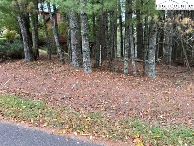 Image number 3 for the current listing