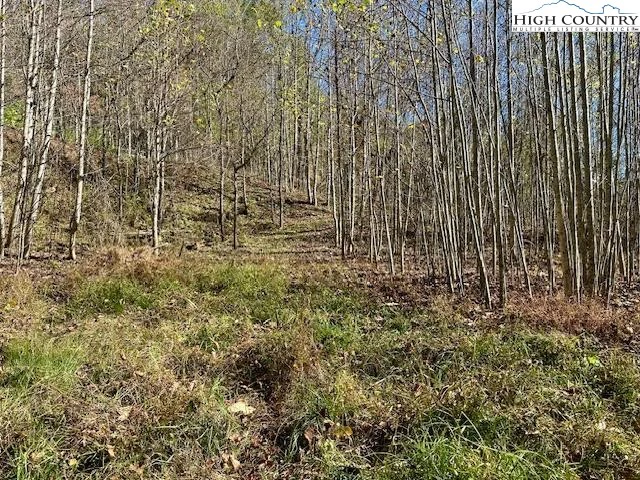 Image number 8 for the current listing