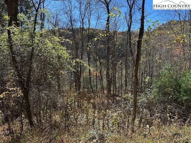 Image number 3 for the current listing