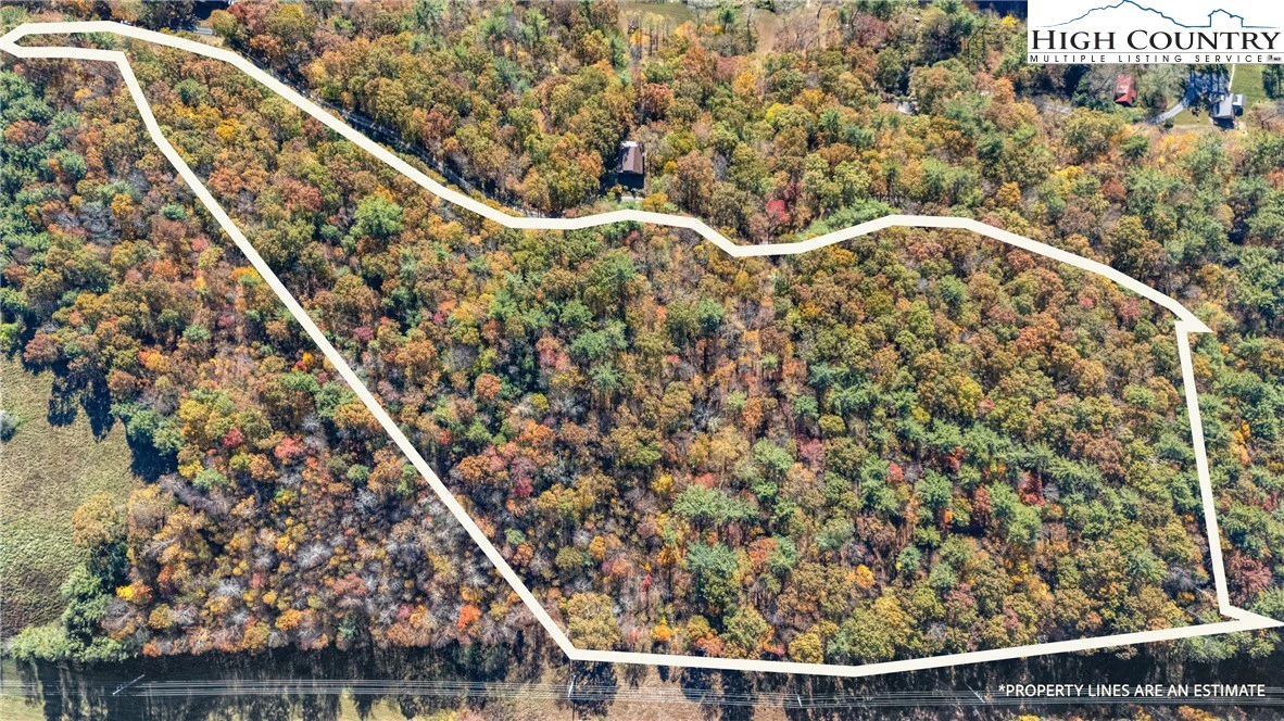 Image number 1 for the current listing