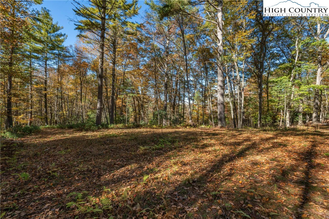 Image number 18 for the current listing