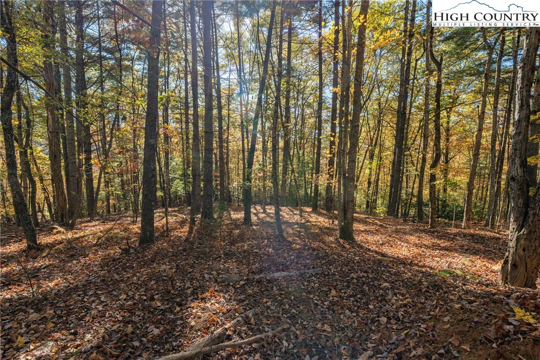 Image number 14 for the current listing
