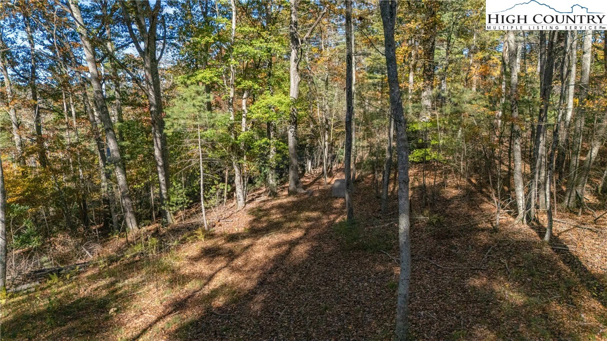 Image number 13 for the current listing