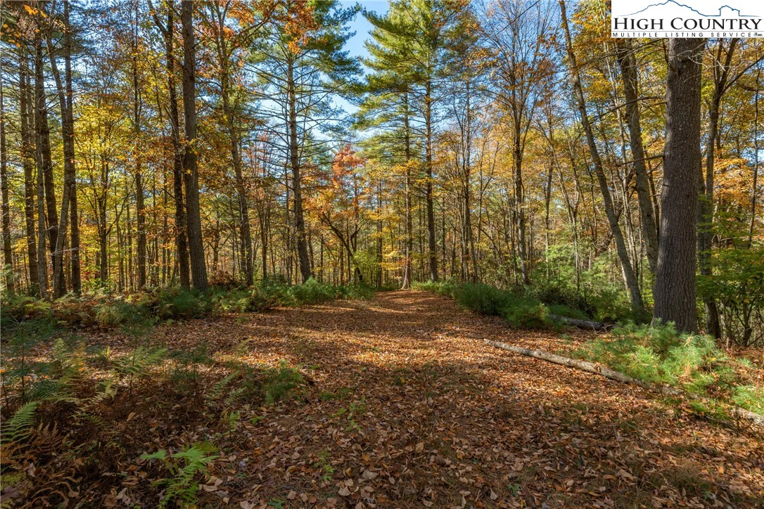 Image number 2 for the current listing
