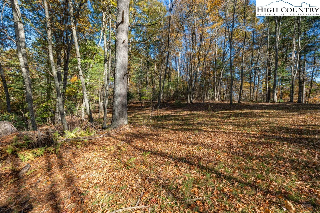 Image number 11 for the current listing