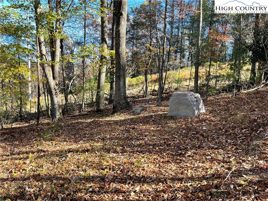 Image number 19 for the current listing