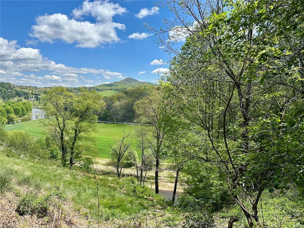 Image number 1 for the current listing