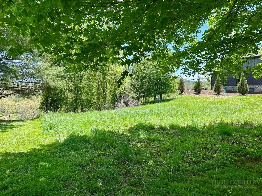 Image number 3 for the current listing