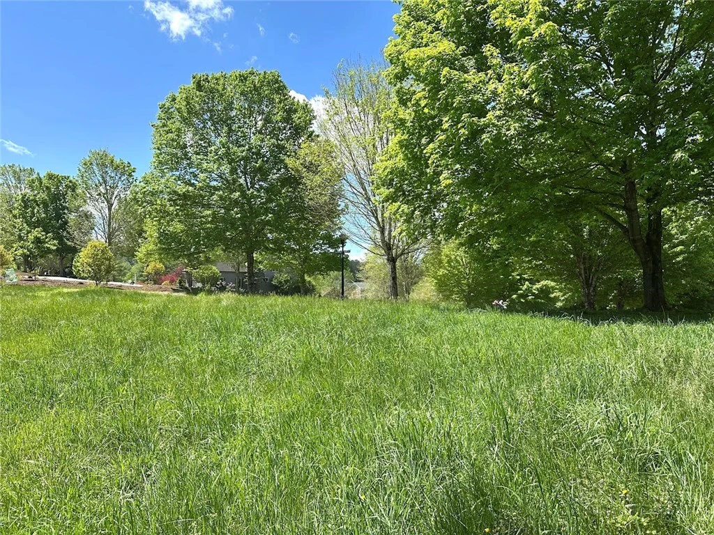 Image number 4 for the current listing