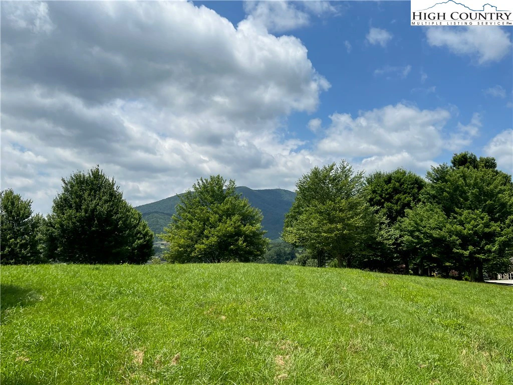 Image number 1 for the current listing