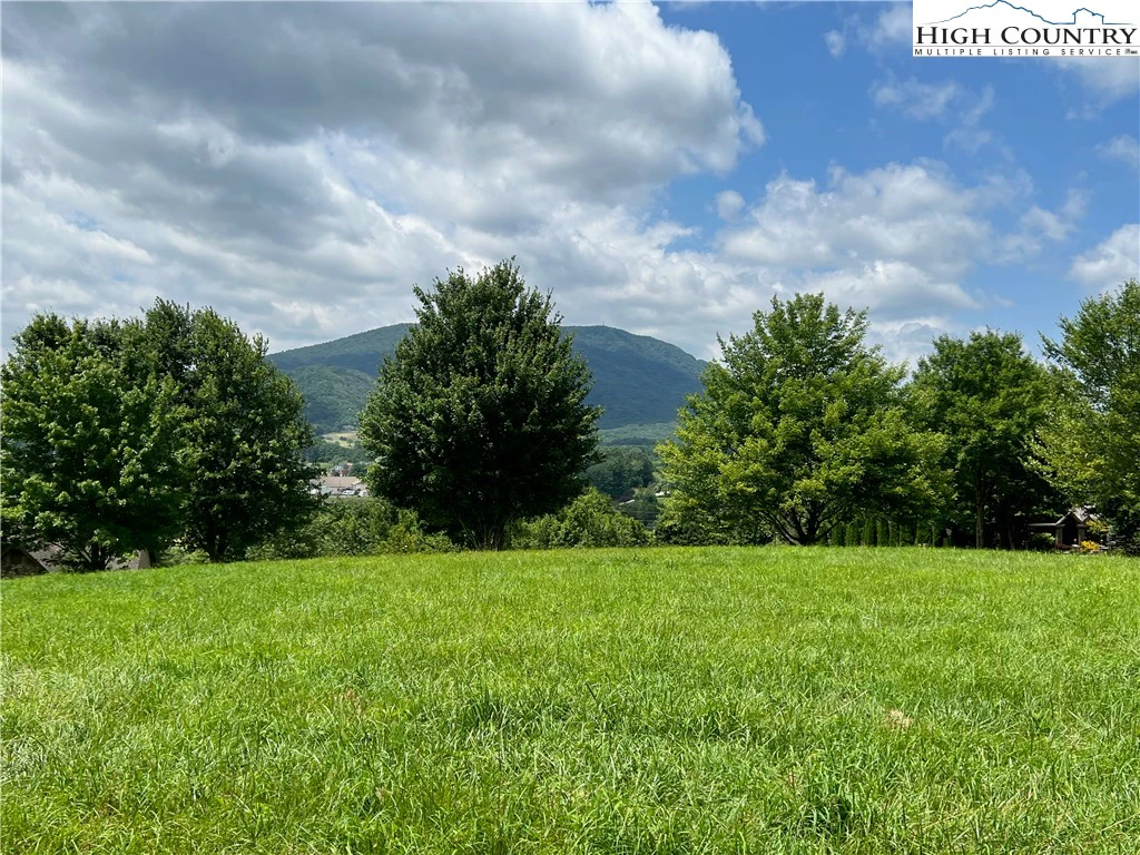 Image number 14 for the current listing