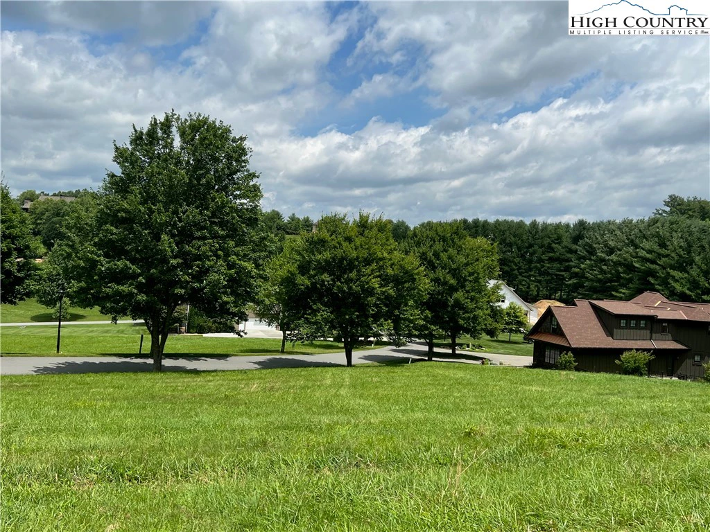 Image number 12 for the current listing
