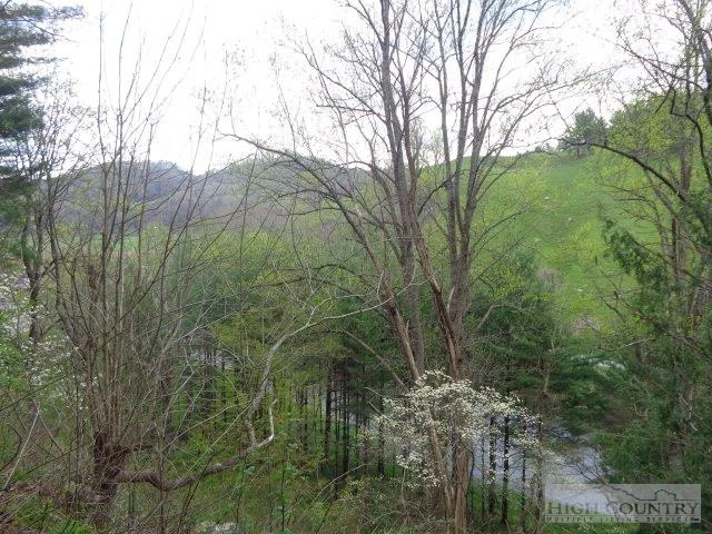 Image number 4 for the current listing