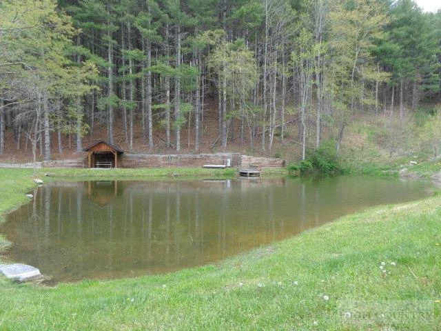 Image number 8 for the current listing