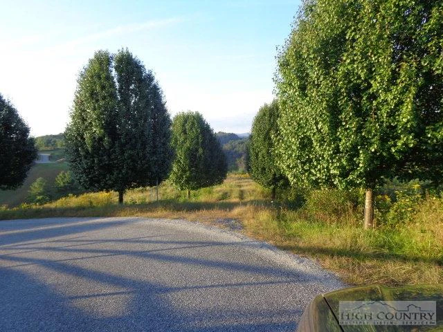 Image number 3 for the current listing