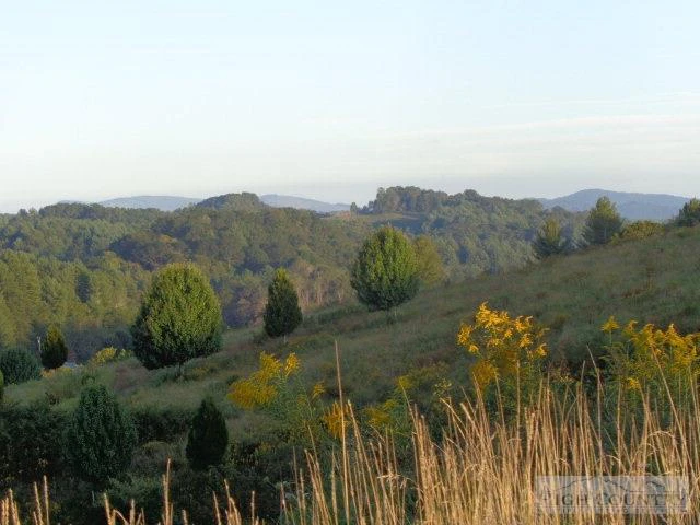 Image number 5 for the current listing
