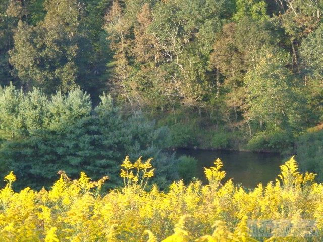 Image number 7 for the current listing