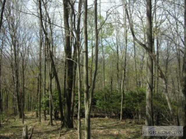 Image number 1 for the current listing