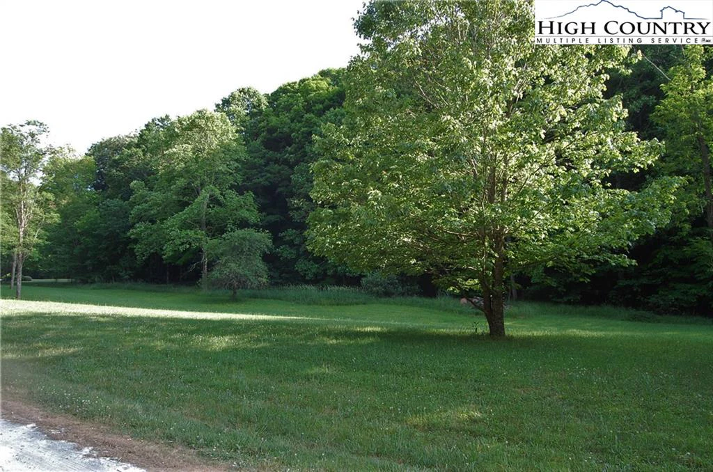 Image number 12 for the current listing