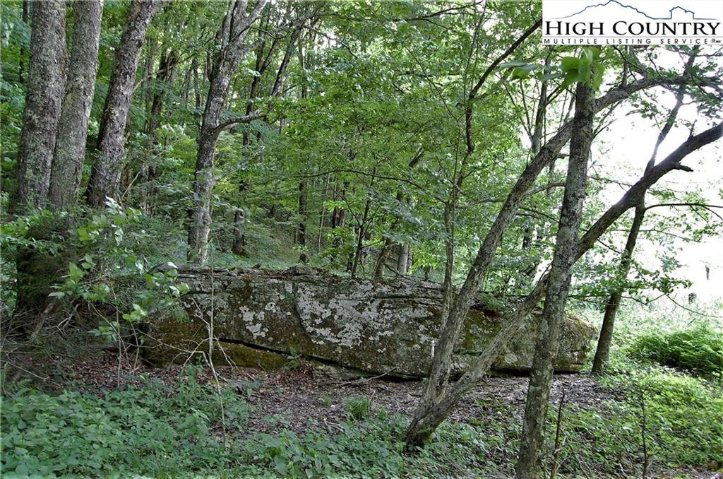 Image number 7 for the current listing