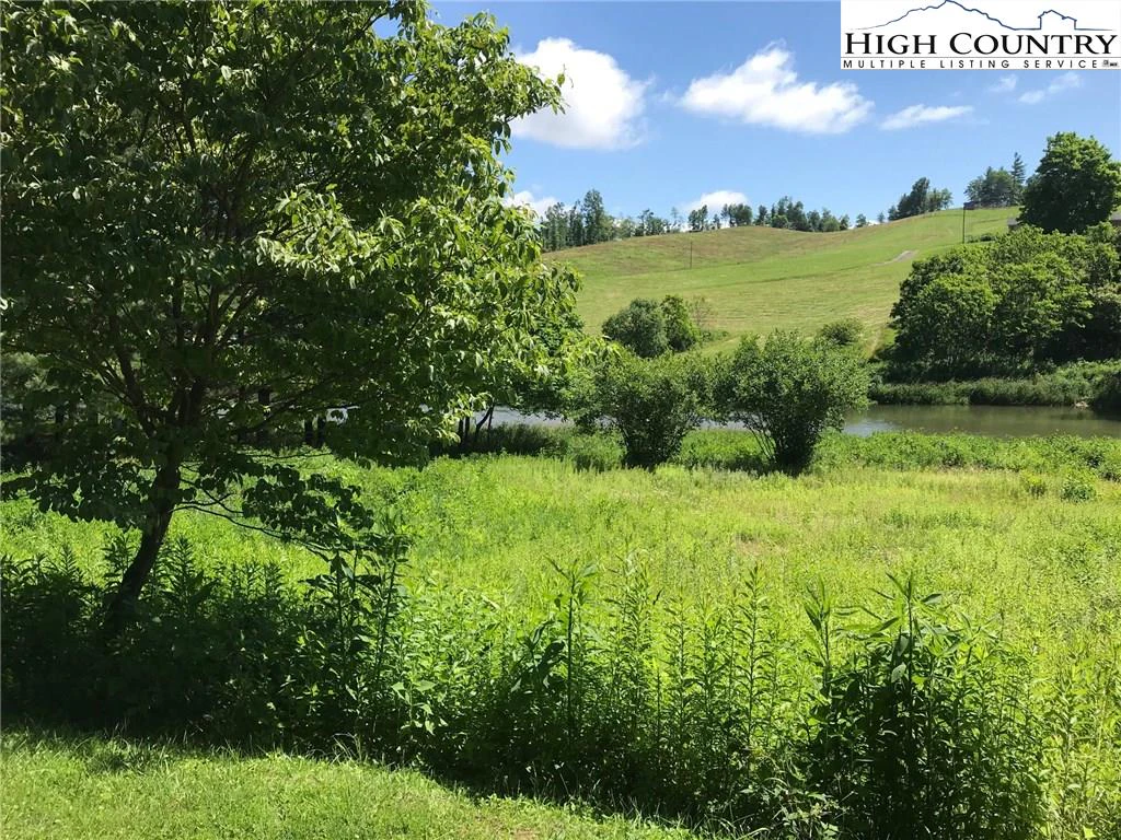 Image number 14 for the current listing
