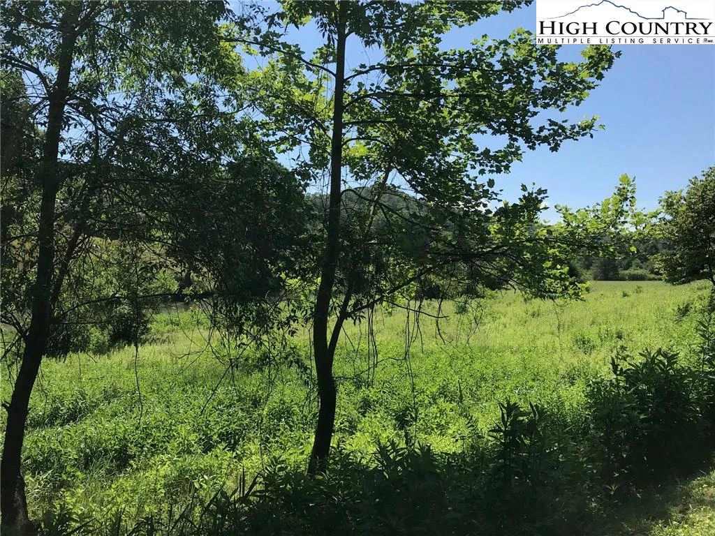 Image number 5 for the current listing