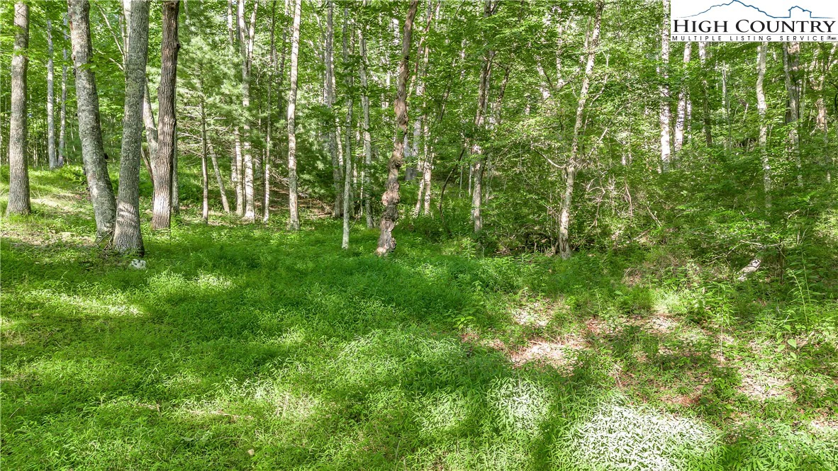 Image number 18 for the current listing