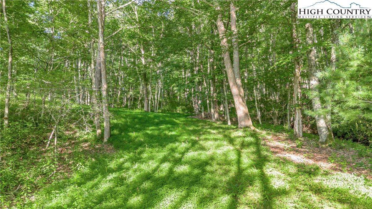 Image number 6 for the current listing
