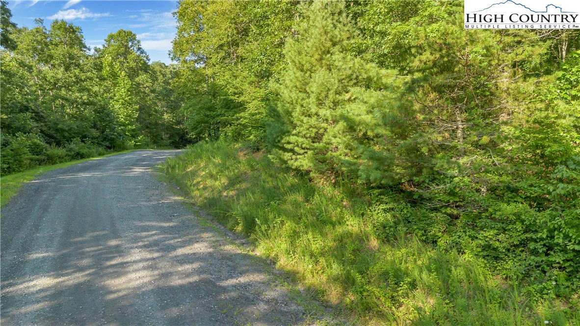 Image number 10 for the current listing