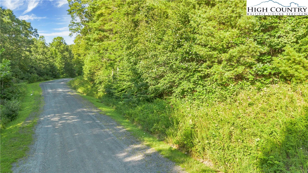 Image number 12 for the current listing