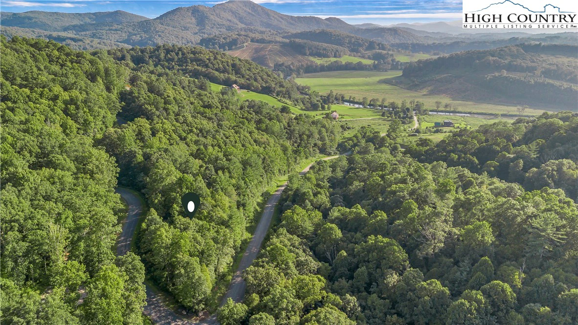 Image number 2 for the current listing