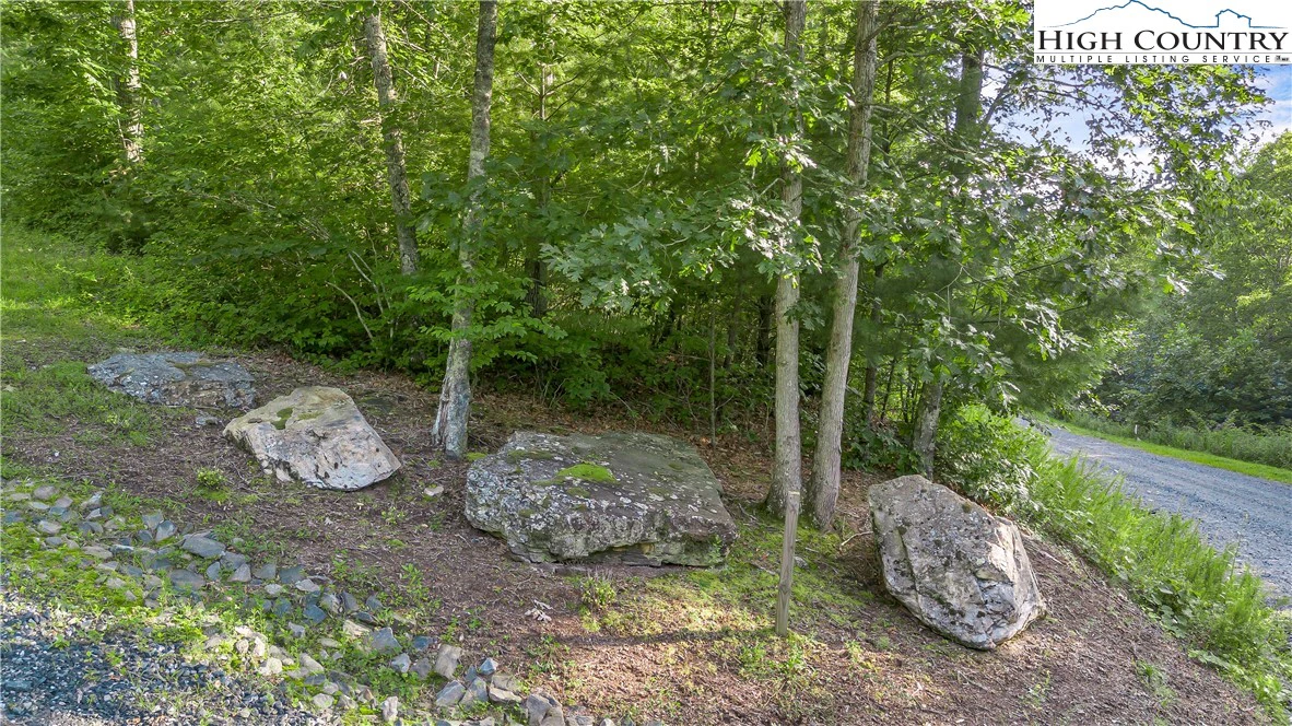 Image number 14 for the current listing