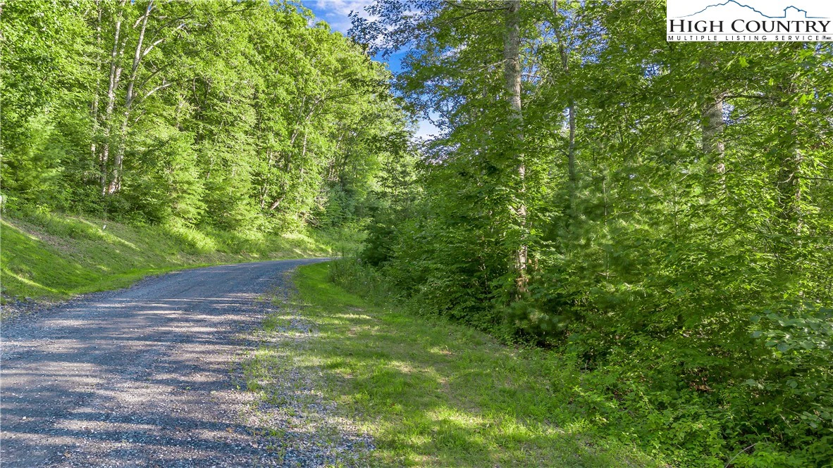 Image number 5 for the current listing