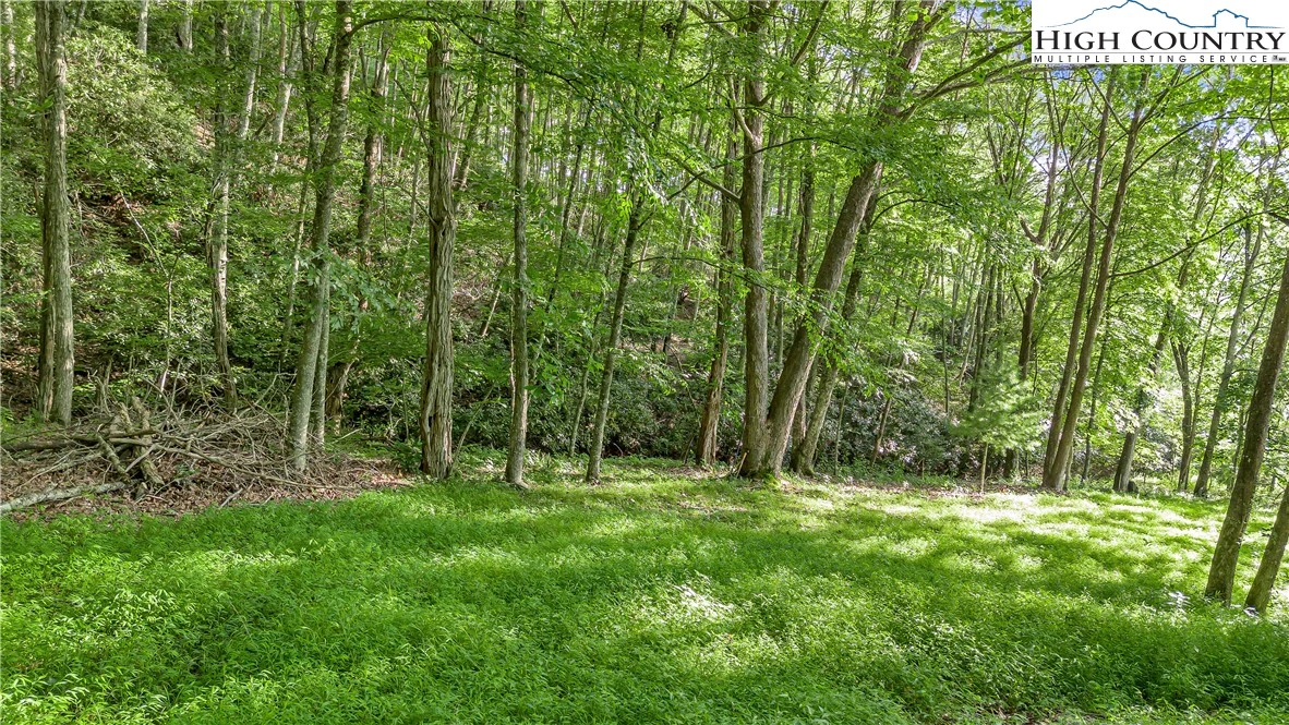Image number 4 for the current listing