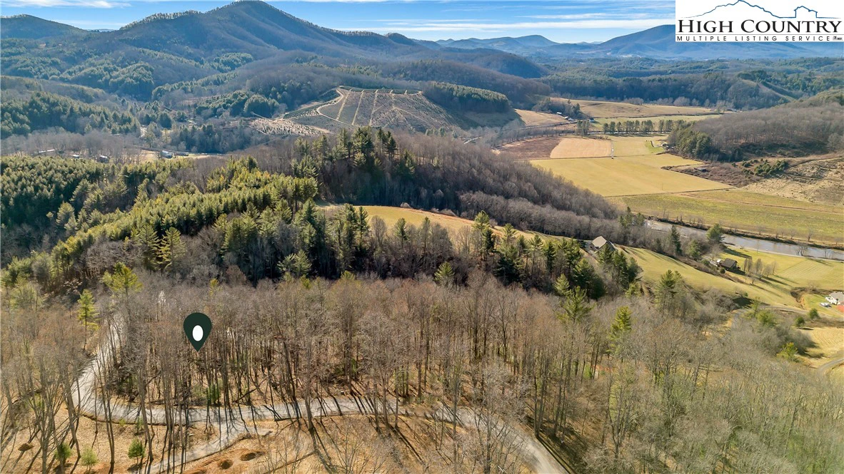 Image number 7 for the current listing