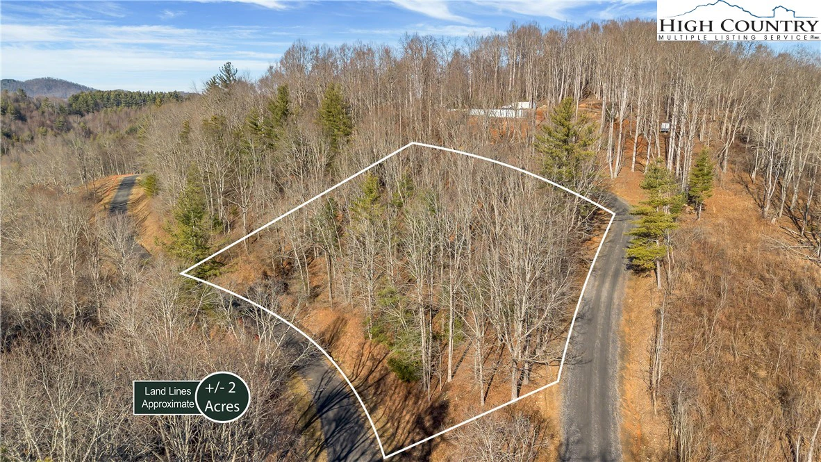 Image number 3 for the current listing
