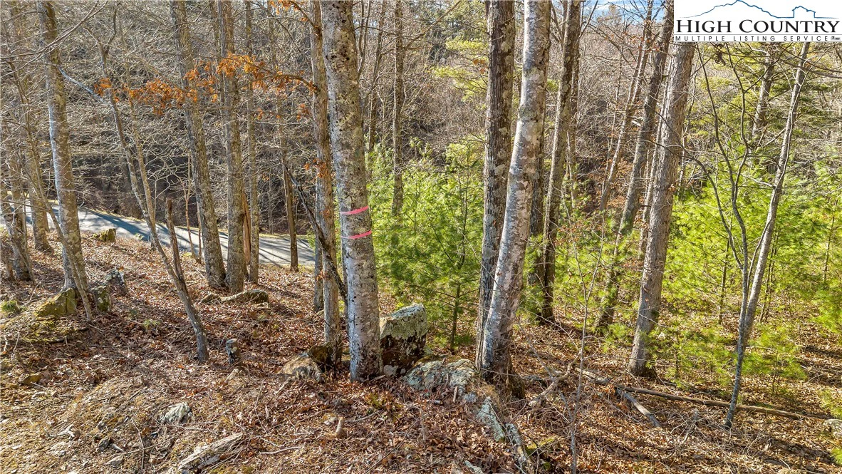 Image number 1 for the current listing