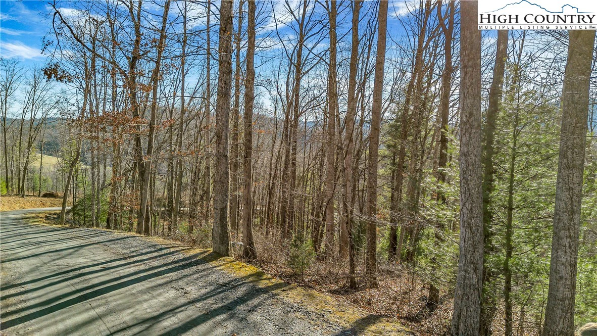 Image number 20 for the current listing