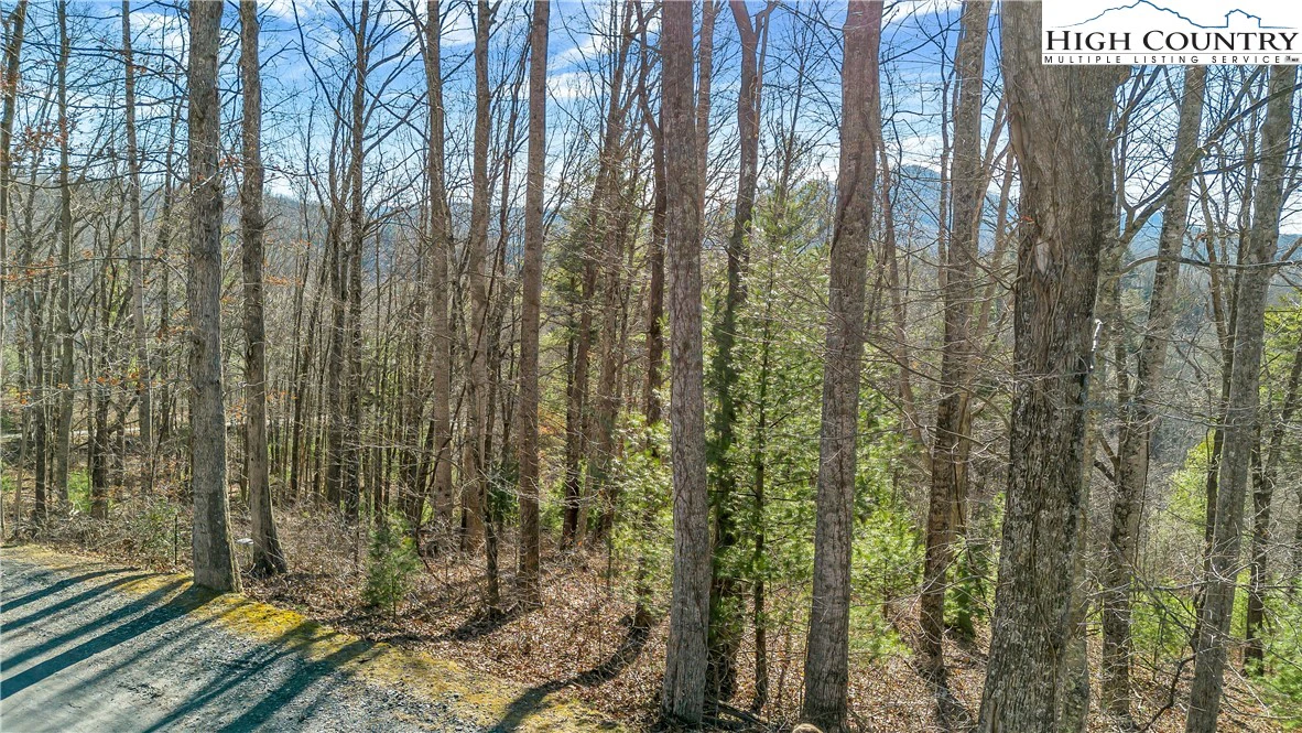 Image number 19 for the current listing
