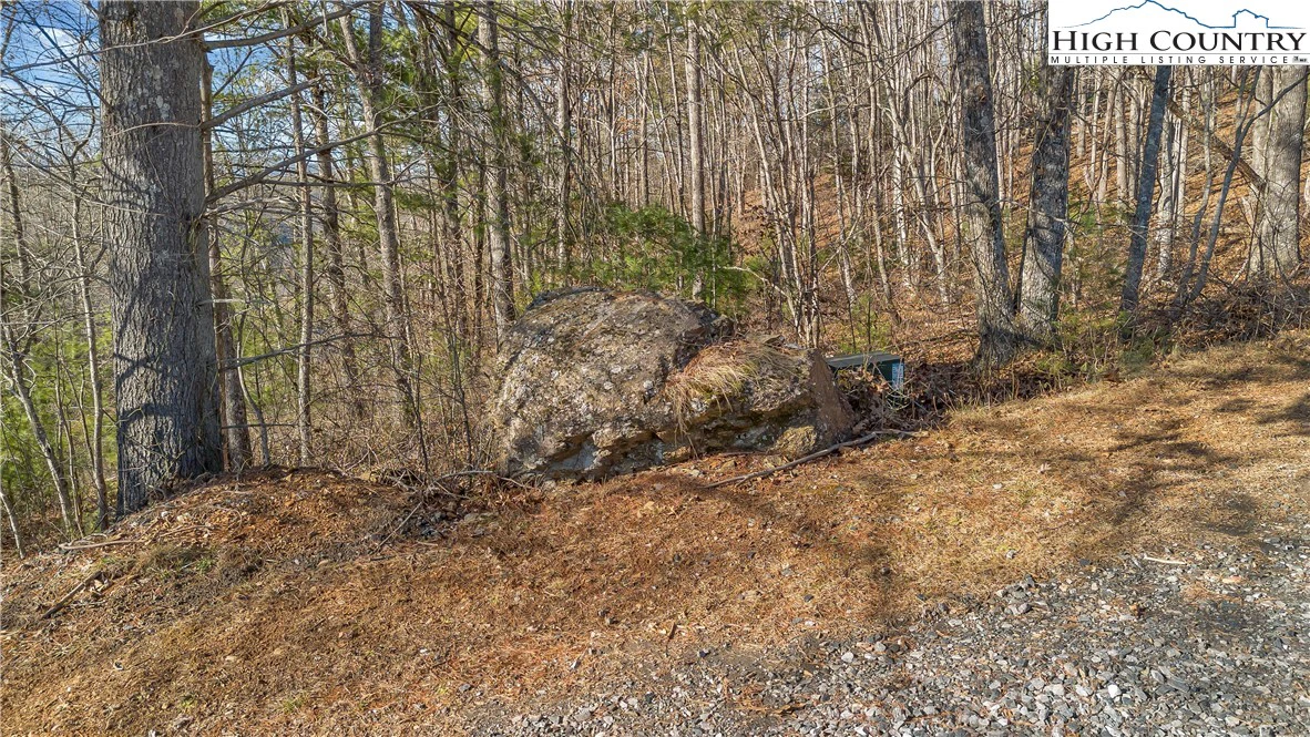 Image number 18 for the current listing
