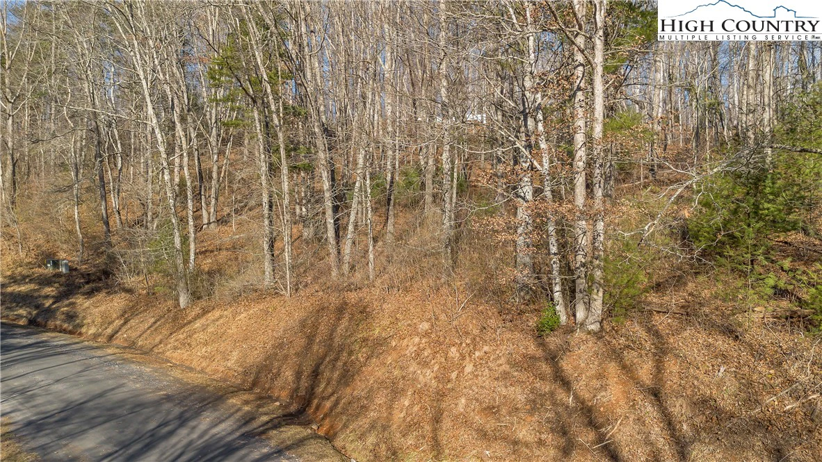 Image number 17 for the current listing