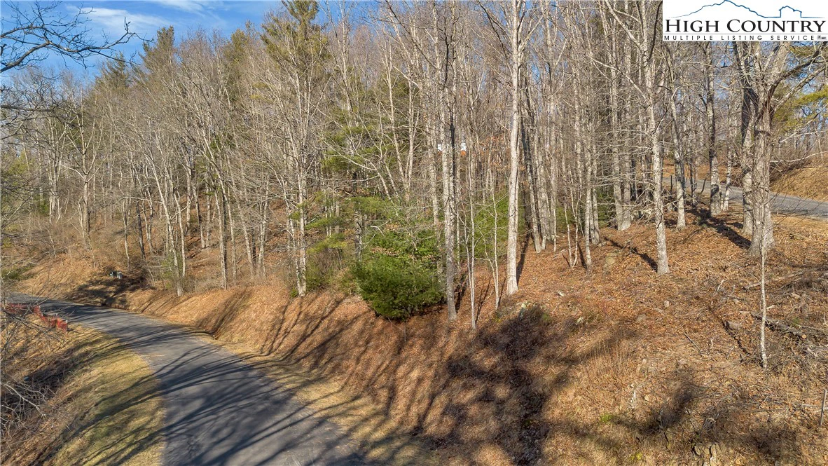 Image number 16 for the current listing