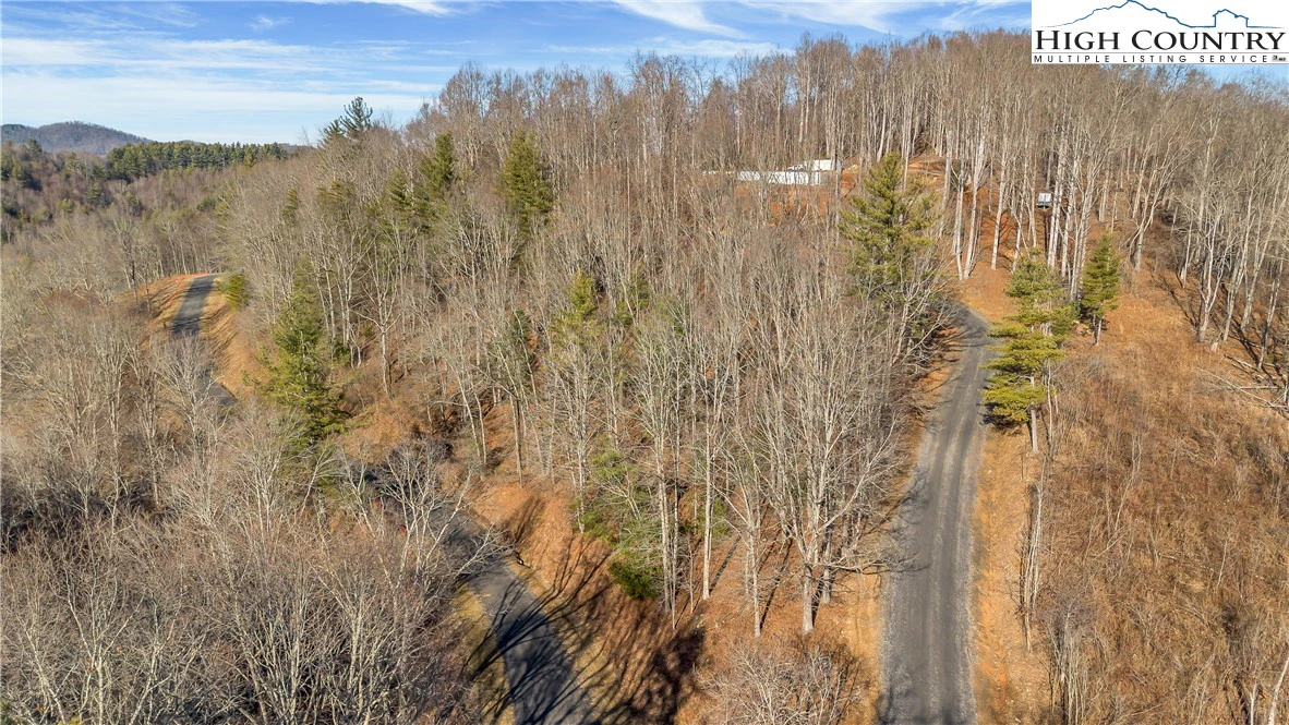 Image number 9 for the current listing