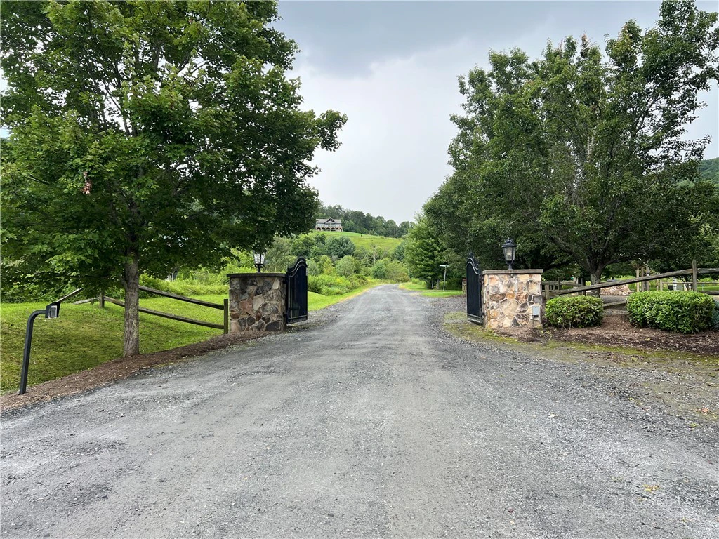 Image number 4 for the current listing