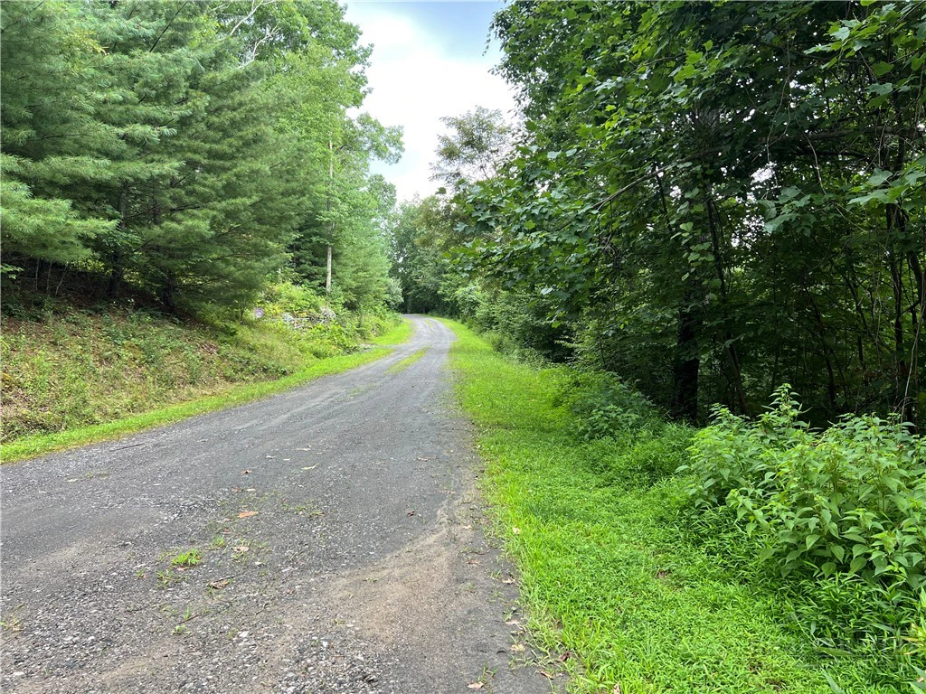 Image number 9 for the current listing